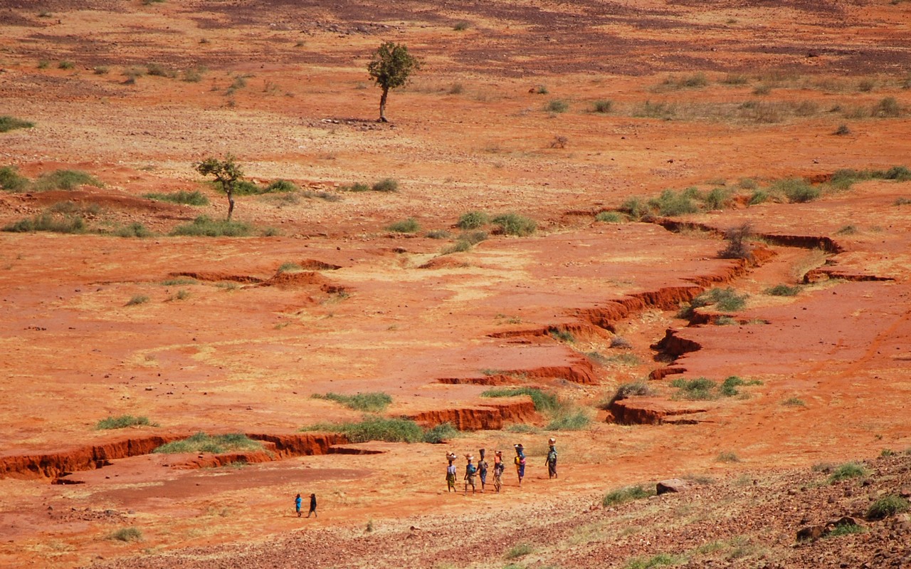 Group of people crossing a virtually desert area