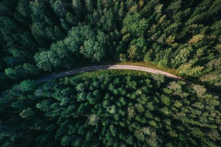 Where is Earth’s carbon stored?
